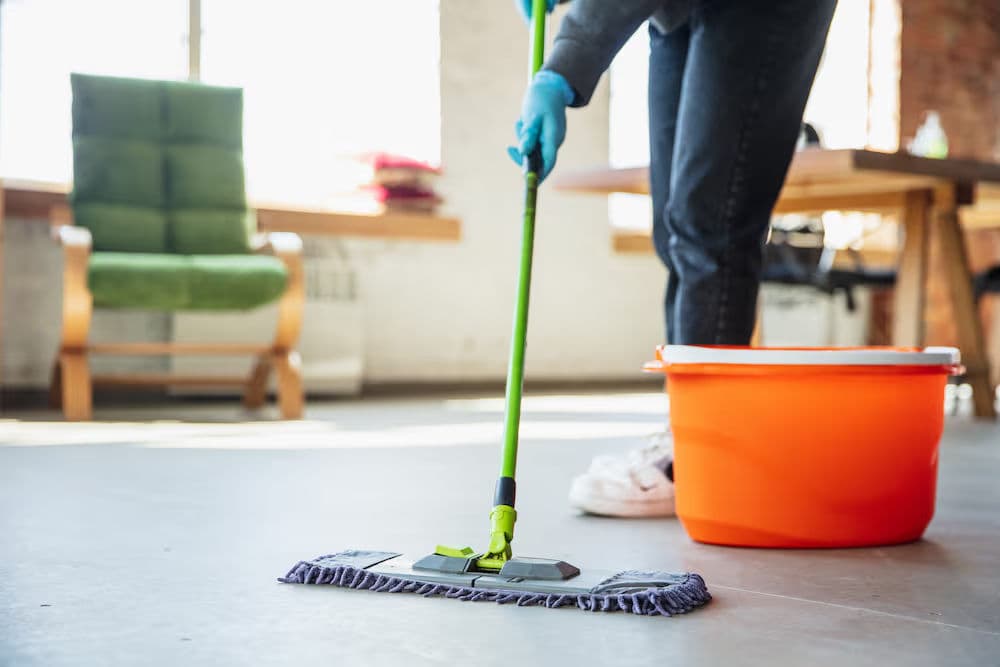 About Saved by the Broom, Cleaners